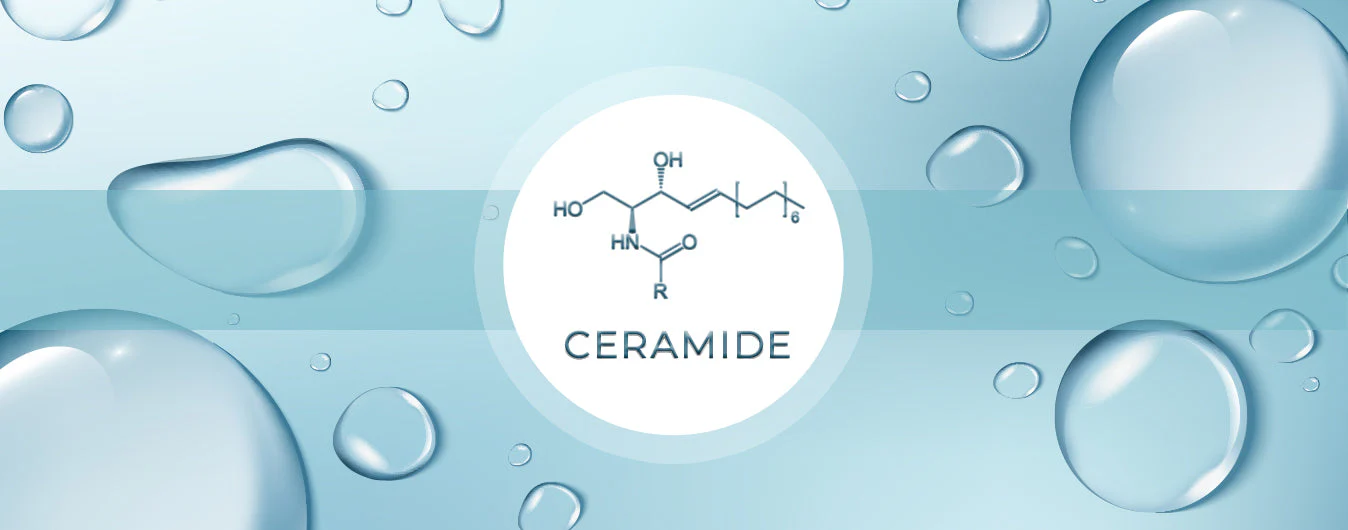 Read more about the article Manfaat Ceramide untuk Kulit: Rahasia Kulit Sehat dan Terhidrasi